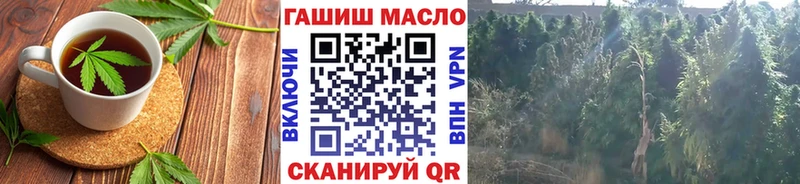 Cannafood конопля  продажа наркотиков  Жирновск 