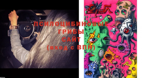 кокаин Богданович