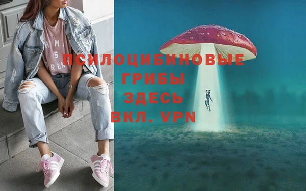 кокаин Богданович
